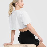 Classic Oner Graphic Crop Lightweight T-Shirt | Light Grey Marl