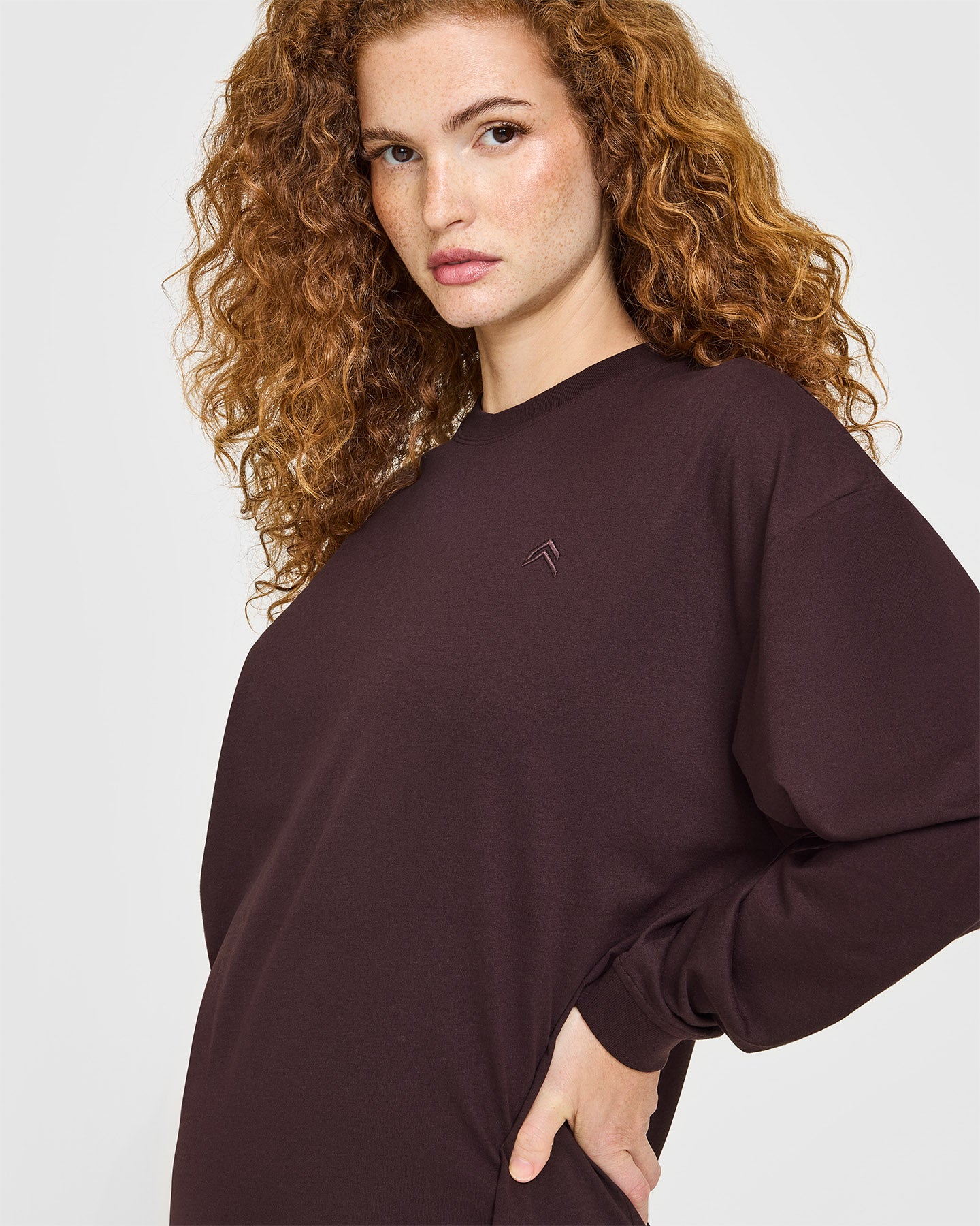Classic Oversized Lightweight Long Sleeve Top | Plum Brown