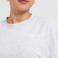 Classic Lifters Graphic Relaxed Crop Lightweight T-Shirt | Light Grey Marl
