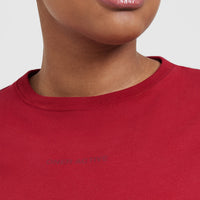 Classic Mirror Graphic Oversized T-Shirt | Washed Red Wine