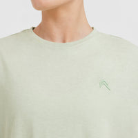 Classic Oversized Lightweight T-Shirt | Tea Green